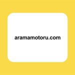 arama motoru