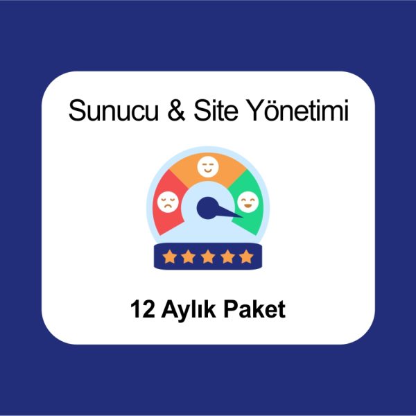 website sunucu yönetimi 12-aylık-son