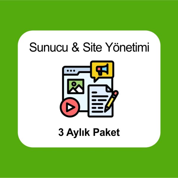 website sunucu yönetimi 3-aylık