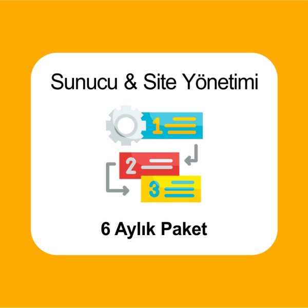 website sunucu yönetimi 6 aylık