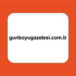 gün boyu gazetesi